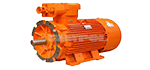 Low voltage AC motor