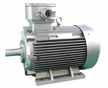 低壓防爆電機(jī)常見問題：軸承過熱